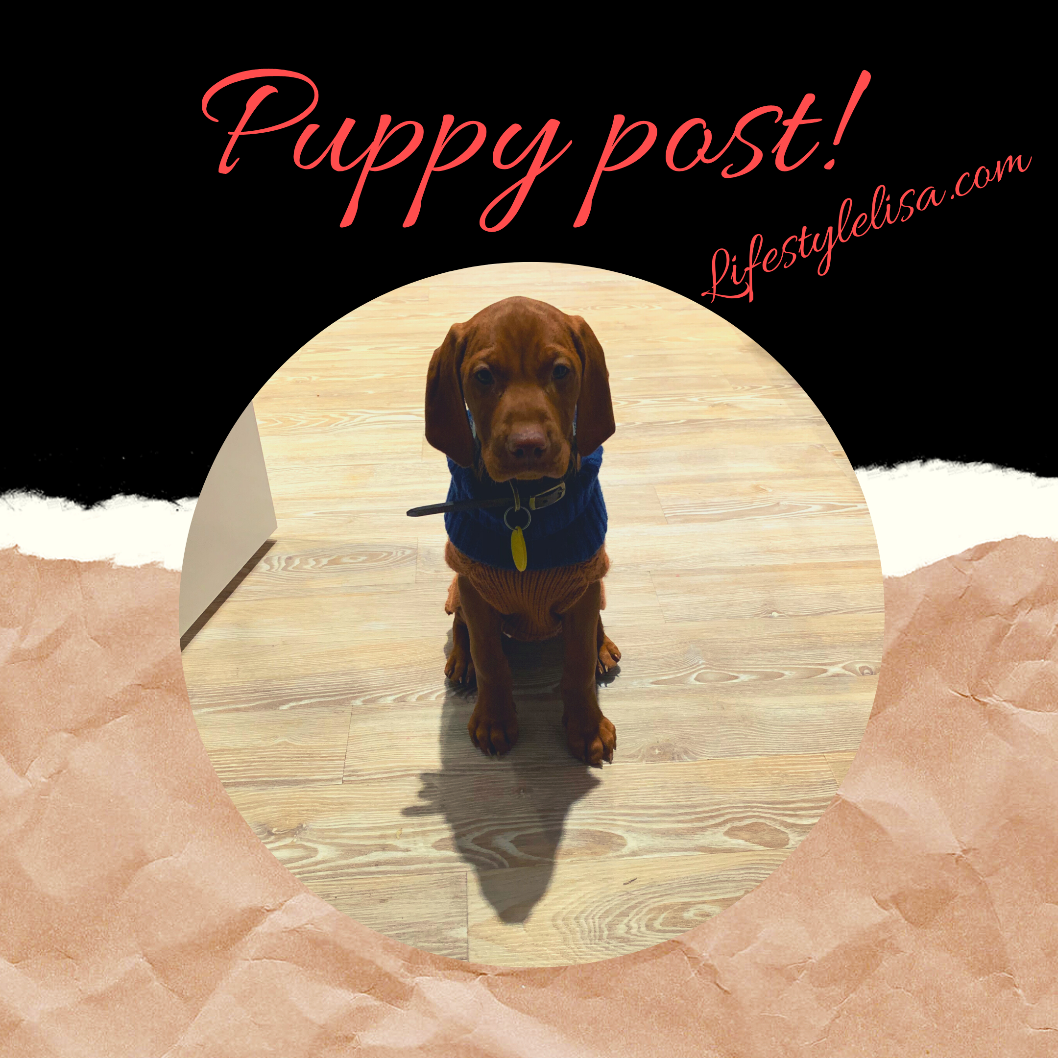 Puppy Post