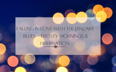 Falling in Love with the January Blues – Frosty Mornings & Hibernation